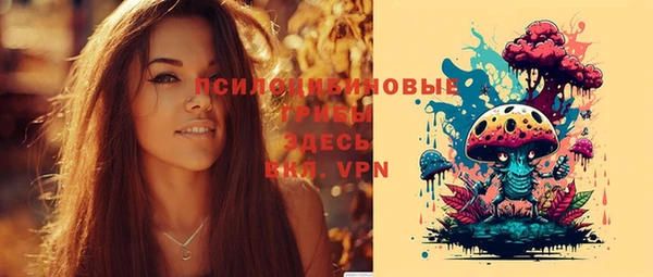 амф Алексин
