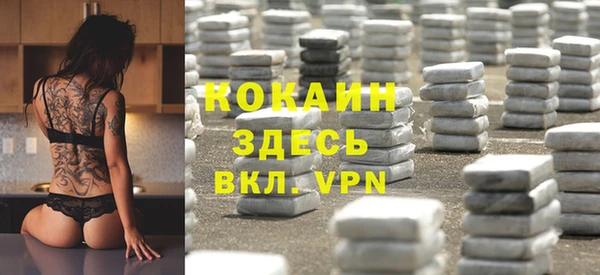 амф Алексин